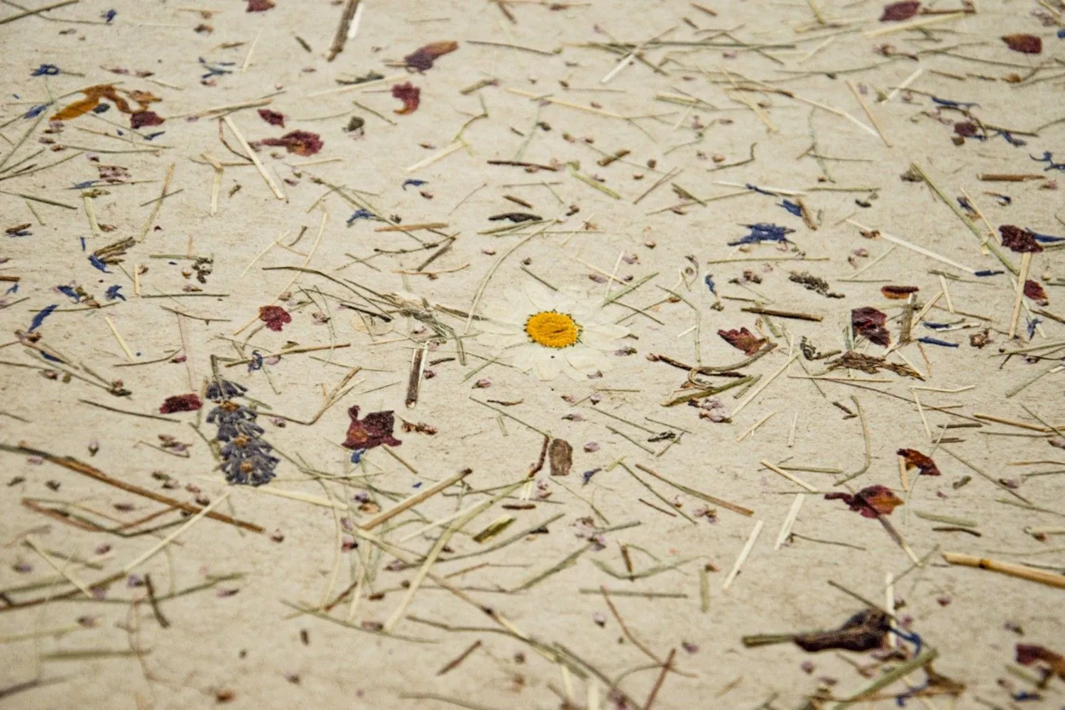 ALPINE FLORAL TOUCH