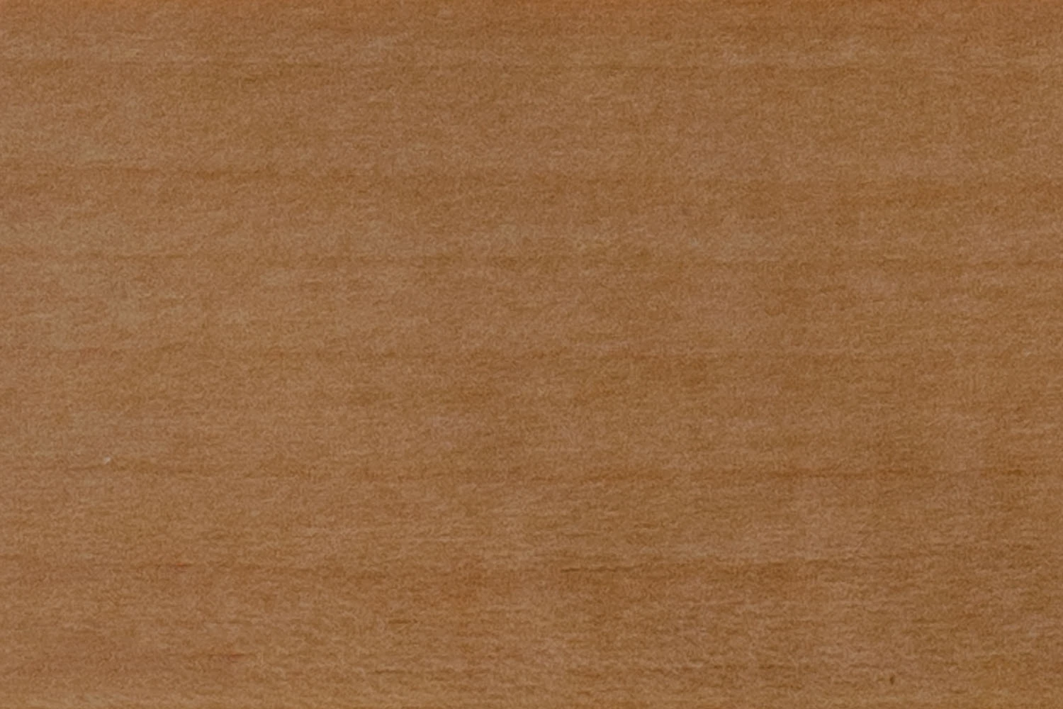 BASSWOOD