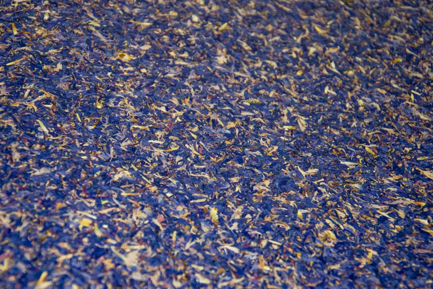 BLUE PETAL