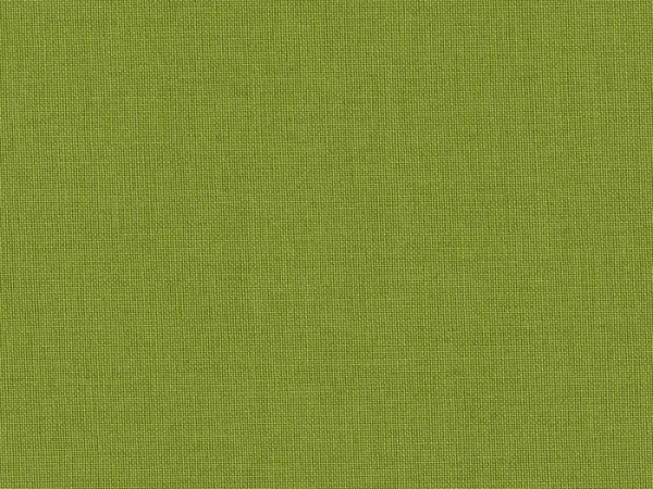 BRI4250-FROSCHGRUN