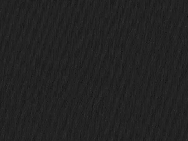 CSE4421 BLACK