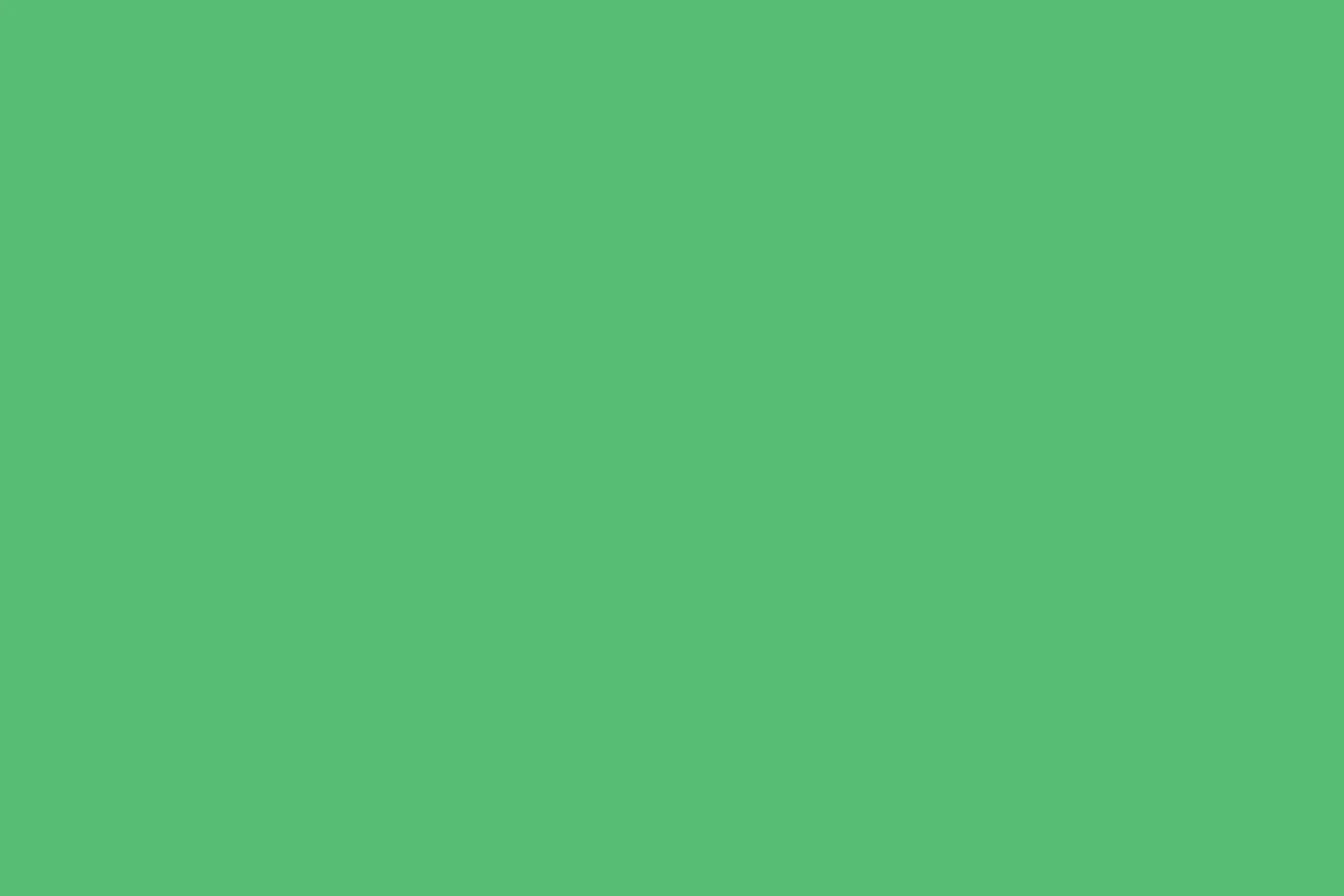 FOLDING-FUN-GREEN