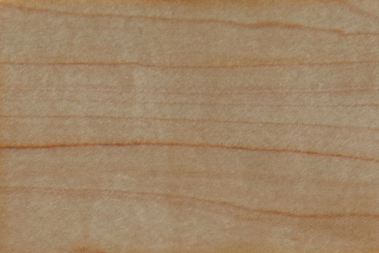 MAPLE