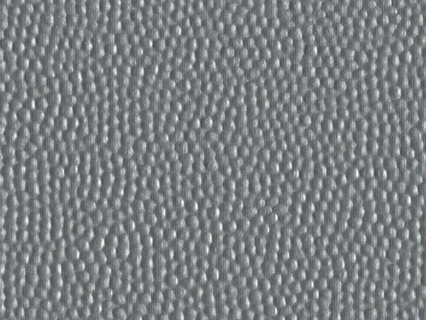 MD47499 SILVER