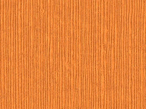 NAB2022 TANGERINE