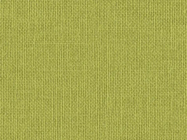 NAC8051 LIME