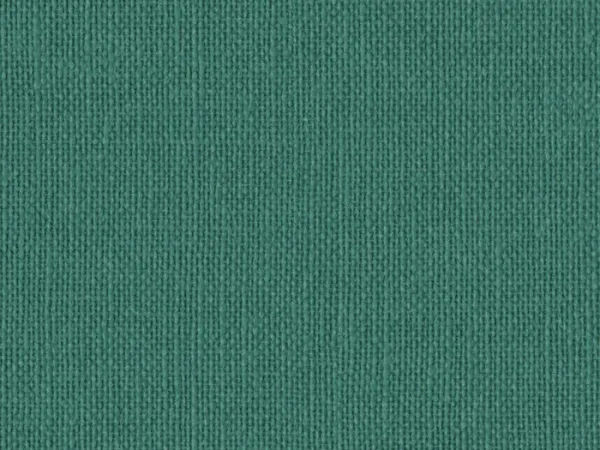 NAC8058 FOREST