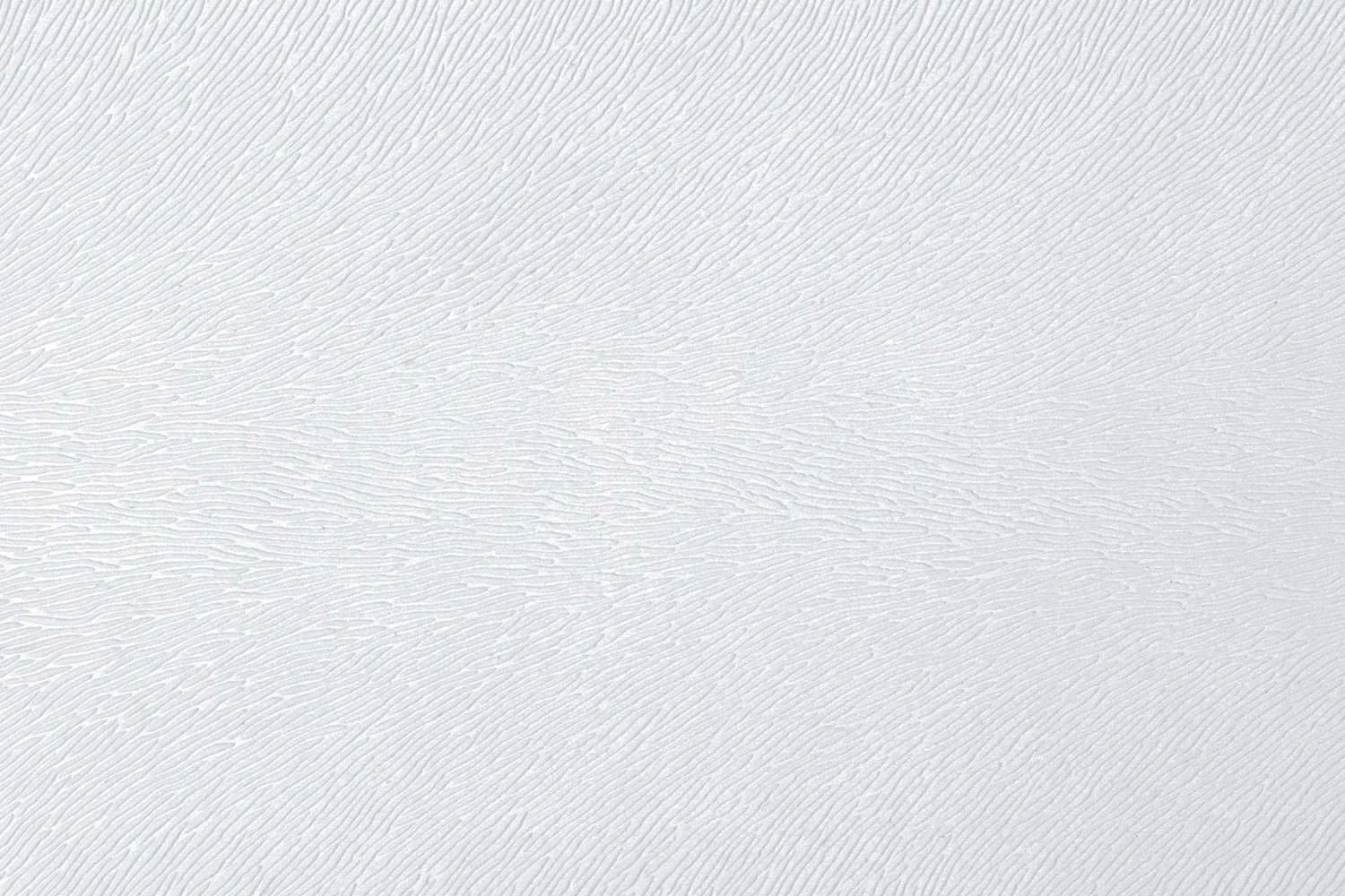 PONY-BIANCO-WHITE