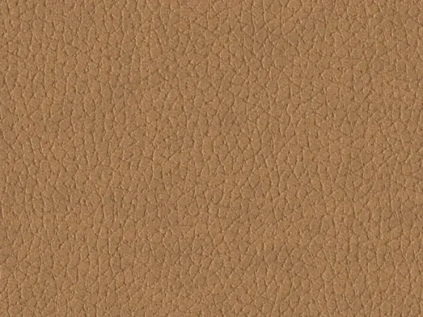 QNT139020-IVORY