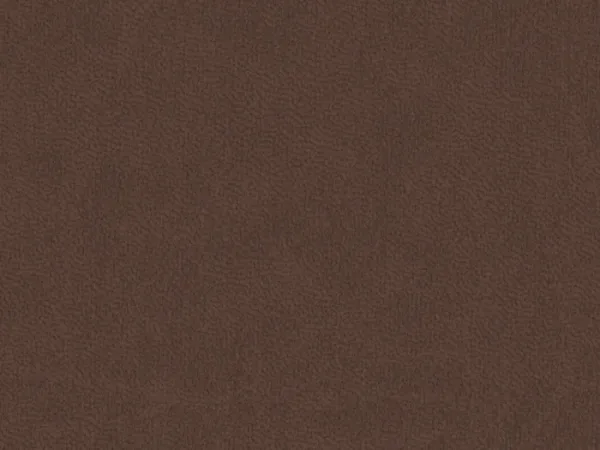 SIT29922 BROWN