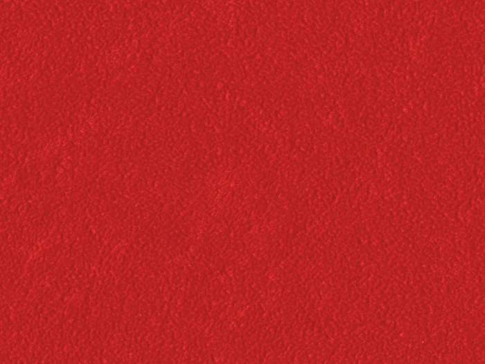 SKN939-TOMATO