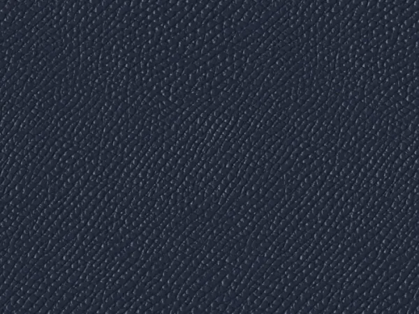 SXM6008 DARK BLUE