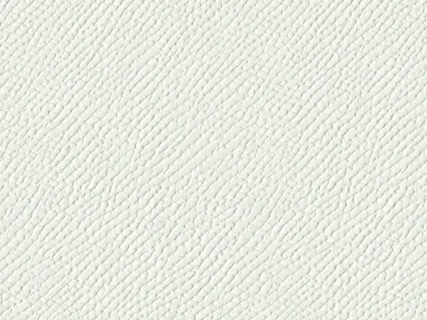 SXM6016 WHITE