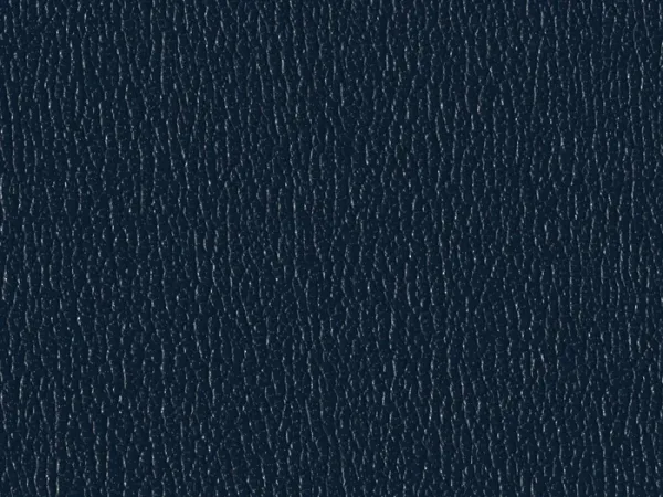 SXS5251 BLUE