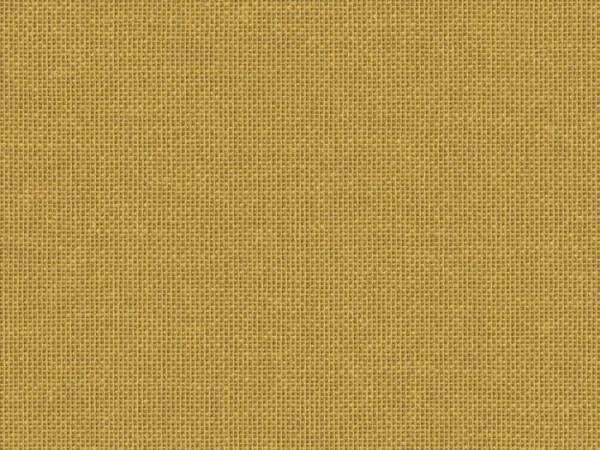 TCA38090-MOUTARDE