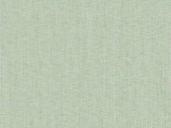 TOC31042 ALGUE