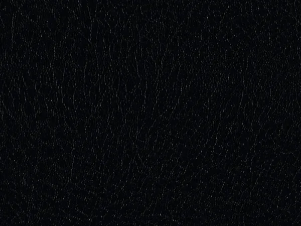 WCE23499 BLACK
