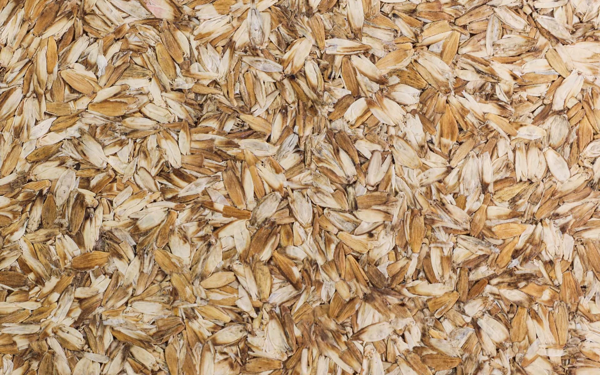 WHEAT HUSK
