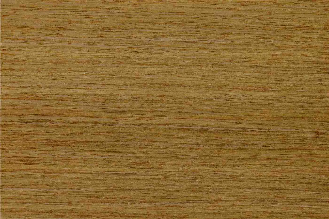 WN-CSW14-NUTMEG