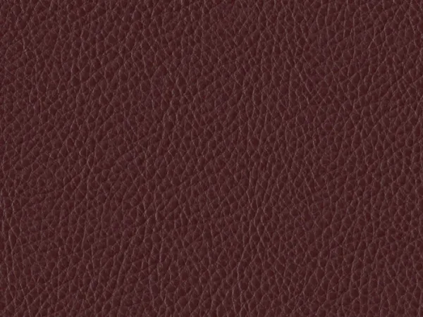 WSA20 BURGUNDY