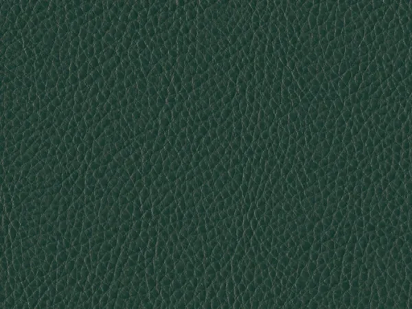 WSA22 GREEN
