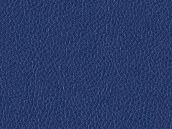 WSA51 ROYAL BLUE