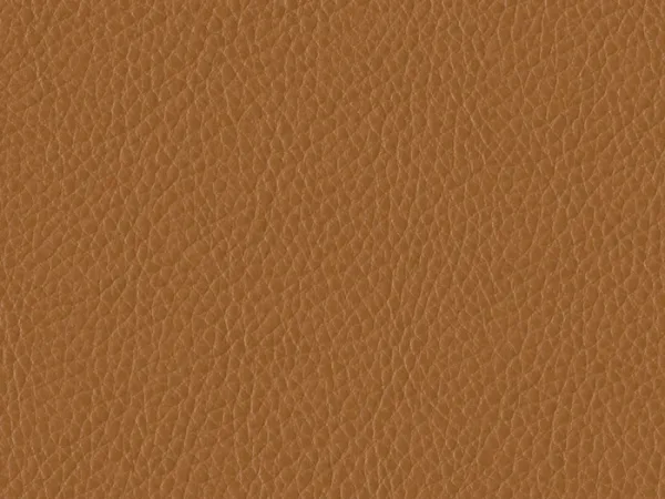 WSA55 TAN